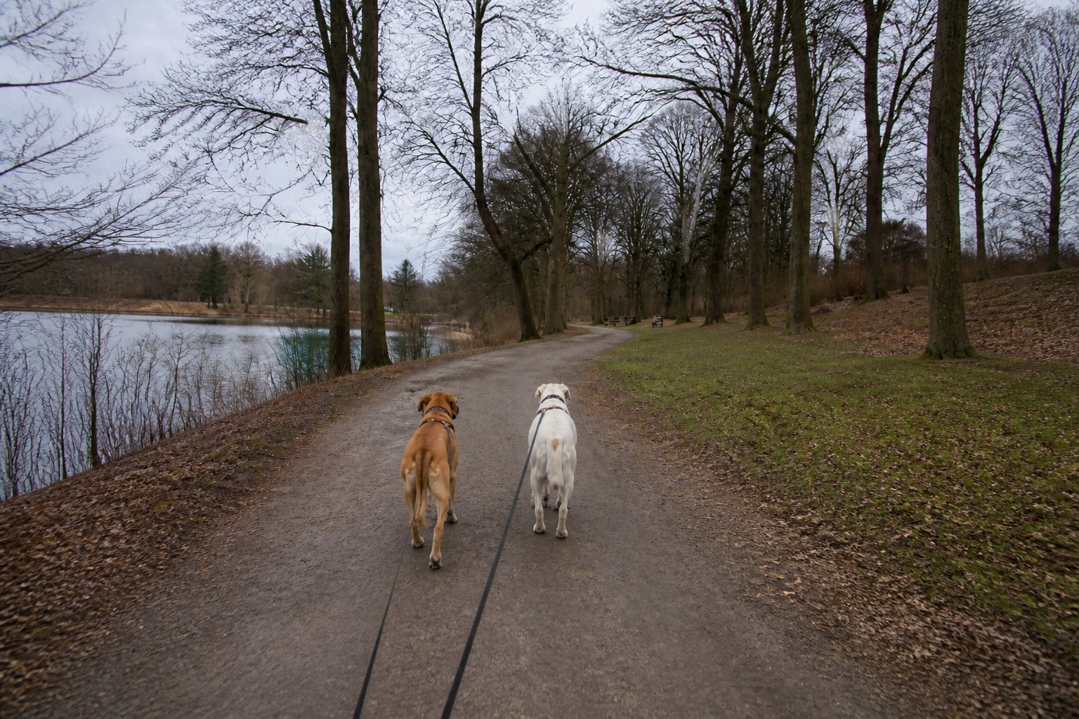 Runde am Parkweg